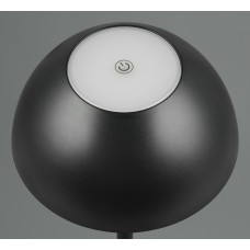 Вуличний настольний світильник акб ricardo (reality) Trio r54106132