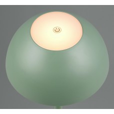 Вуличний настольний світильник акб ricardo (reality) Trio r54106149