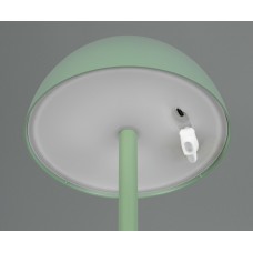 Вуличний настольний світильник акб ricardo (reality) Trio r54106149