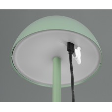 Вуличний настольний світильник акб ricardo (reality) Trio r54106149