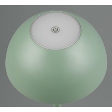 Вуличний настольний світильник акб ricardo (reality) Trio r54106149