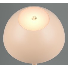 Вуличний настольний світильник акб ricardo (reality) Trio r54106166