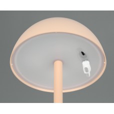 Вуличний настольний світильник акб ricardo (reality) Trio r54106166