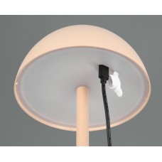 Вуличний настольний світильник акб ricardo (reality) Trio r54106166