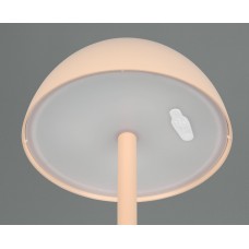 Вуличний настольний світильник акб ricardo (reality) Trio r54106166