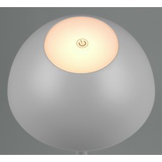 Вуличний настольний світильник акб ricardo (reality) Trio r54106177