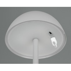 Вуличний настольний світильник акб ricardo (reality) Trio r54106177