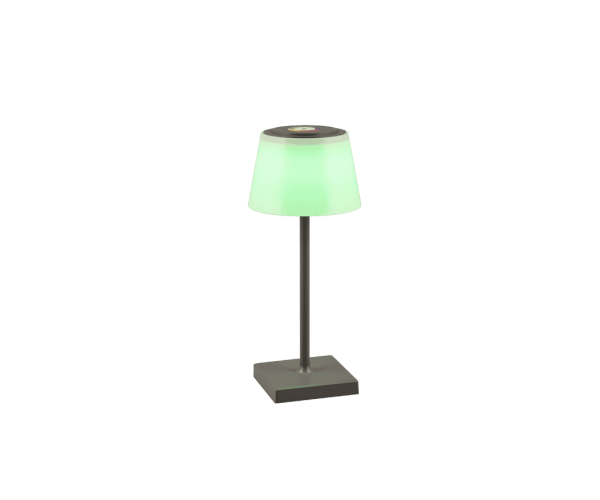 Зовнішний світильник sanchez solar (reality) Trio r54126142