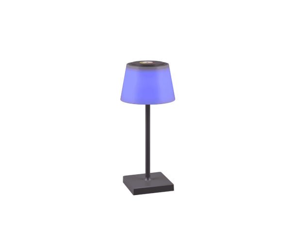 Зовнішний світильник sanchez solar (reality) Trio r54126142