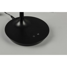 Настольный светильник toro (reality) Trio r57641102