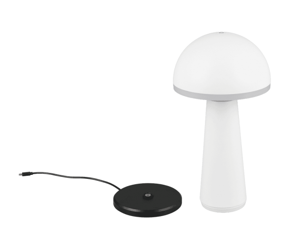 Уличный настольный светильник акб fungo (reality) Trio r57716131