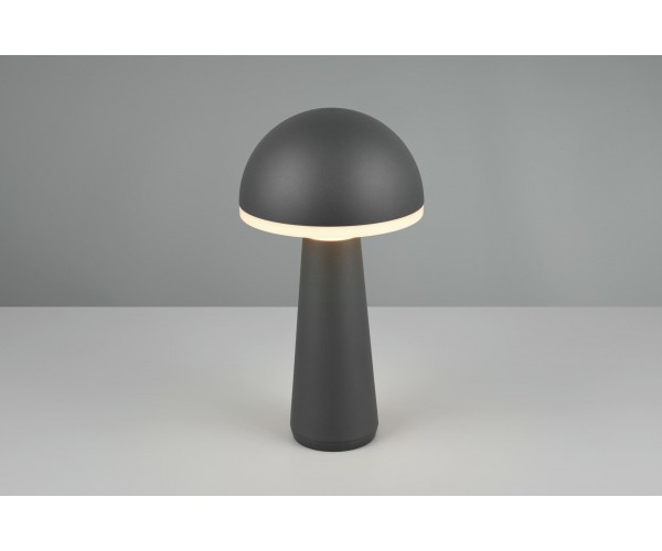 Уличный настольный светильник акб fungo (reality) Trio r57716142