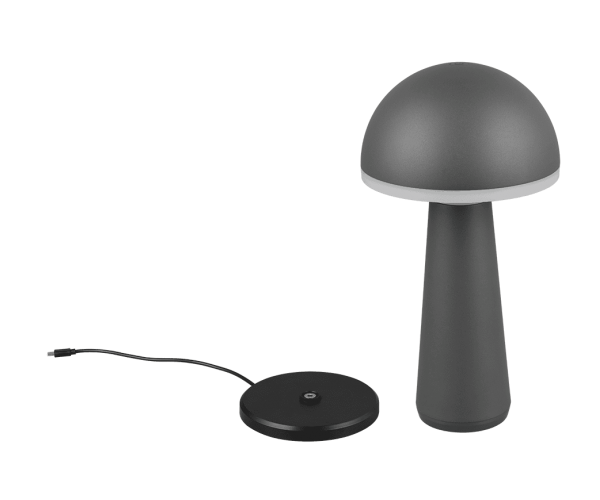 Уличный настольный светильник акб fungo (reality) Trio r57716142