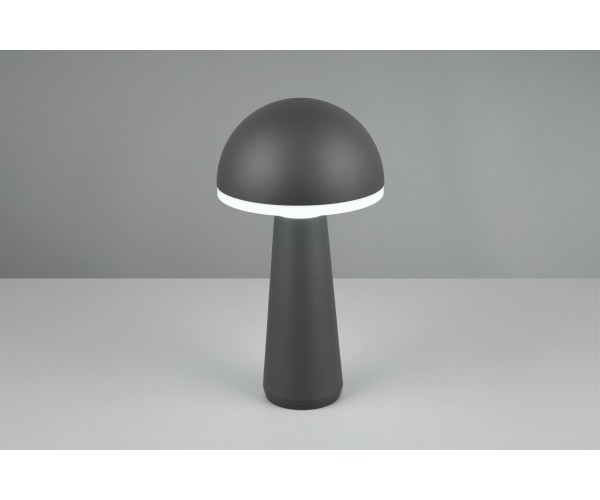 Уличный настольный светильник акб fungo (reality) Trio r57716142