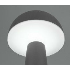 Вуличний настольний світильник акб fungo (reality) Trio r57716142