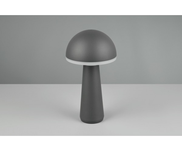 Уличный настольный светильник акб fungo (reality) Trio r57716142