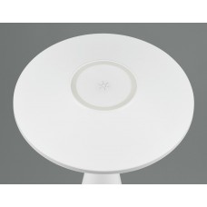 Вуличний настольний світильник акб torrez (reality) Trio r57726131