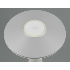 Вуличний настольний світильник акб torrez (reality) Trio r57726177