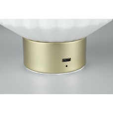 Настольный светильник lord (reality) Trio r57761101