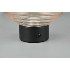 Настільний світильник earl (reality) Trio r57771113