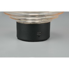 Настільний світильник earl (reality) Trio r57771113