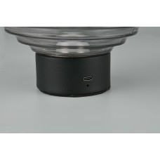 Настільний світильник earl (reality) Trio r57771154