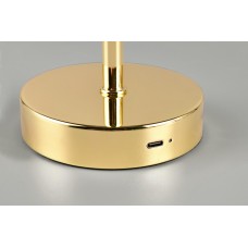 Настільний світильник jeff (reality) Trio r59151103