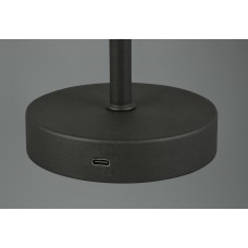 Настільний світильник jeff (reality) Trio r59151132