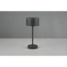 Настільний світильник jeff (reality) Trio r59151132