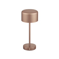 Настільний світильник jeff (reality) Trio r59151165