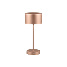 Настільний світильник jeff (reality) Trio r59151165