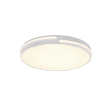 Потолочный светильник tacoma rc (reality) Trio r62241131