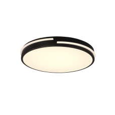 Потолочный светильник tacoma rc (reality) Trio r62241132