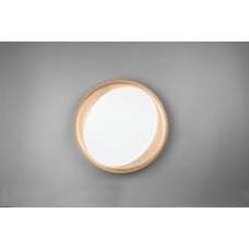 Потолочный светильник zeta rc (reality) Trio r62712402