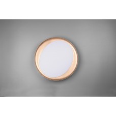 Потолочный светильник zeta rc (reality) Trio r62712402