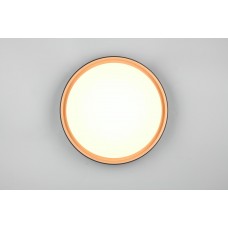 Стельовий світильник felis (reality) Trio r64391080