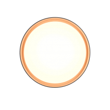 Стельовий світильник felis (reality) Trio r64391080