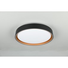 Стельовий світильник felis (reality) Trio r64391080