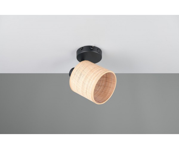 Спот aimee (reality) Trio r81851736